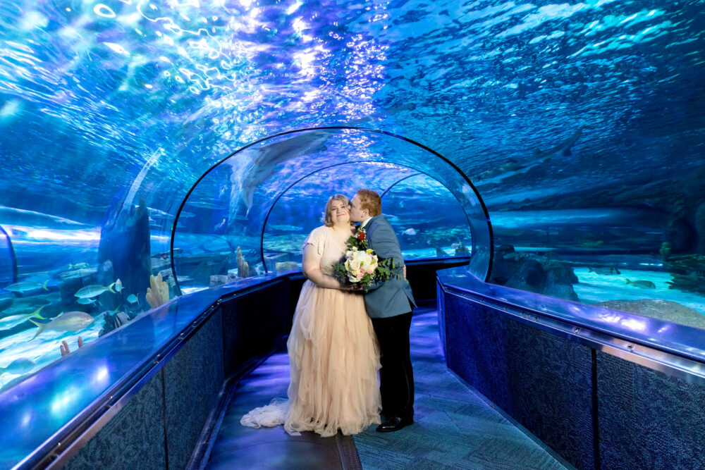 Wedding at Ripley's Aquarium in Myrtle Beach, SC