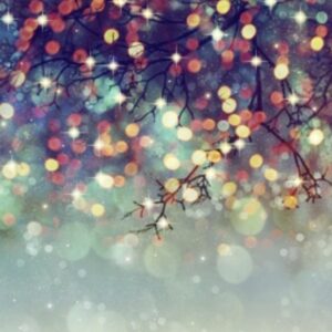 Jingle Jangle • 6x8 Backdrop